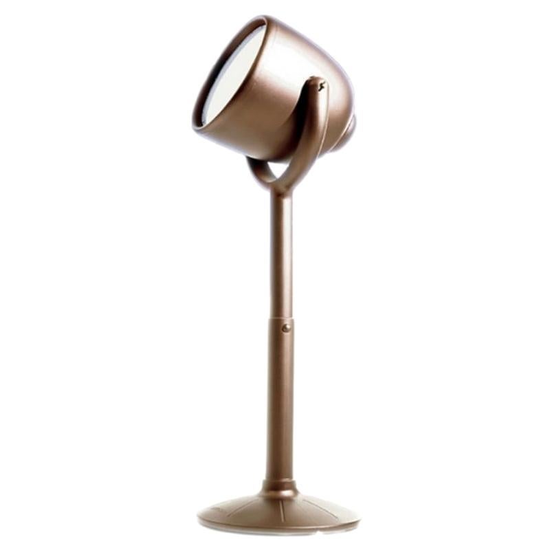 Hollywood Brown Outdoor Lamp