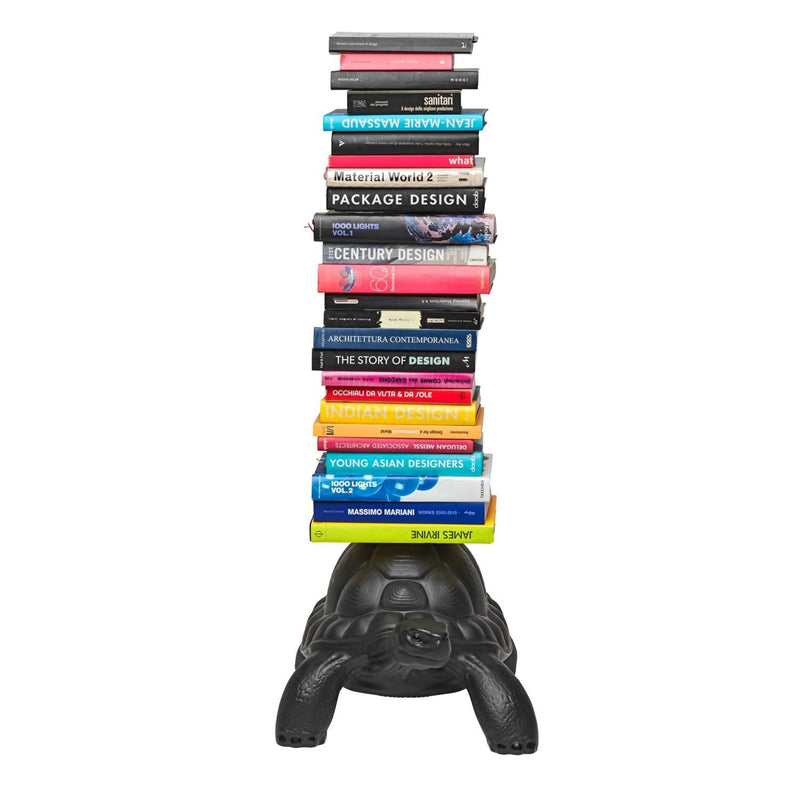 Black Turtle Bookcase