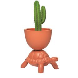 Terracotta Turtle Planter/Champagne Cooler