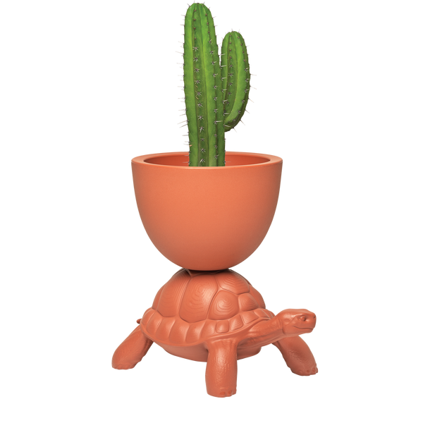 Terracotta Turtle Planter/Champagne Cooler