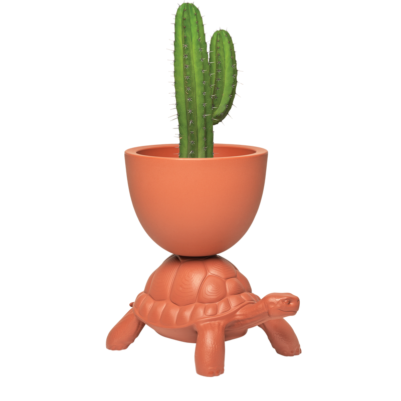 Terracotta Turtle Planter/Champagne Cooler