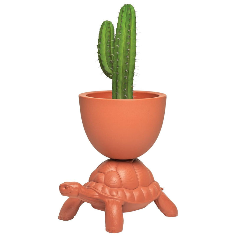 Terracotta Turtle Planter/Champagne Cooler