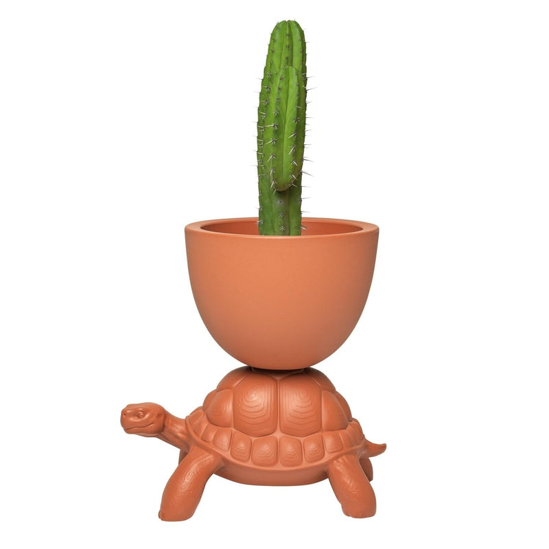 Terracotta Turtle Planter/Champagne Cooler