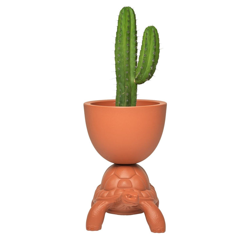 Terracotta Turtle Planter/Champagne Cooler