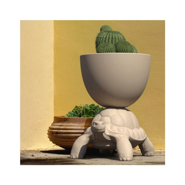 Terracotta Turtle Planter/Champagne Cooler